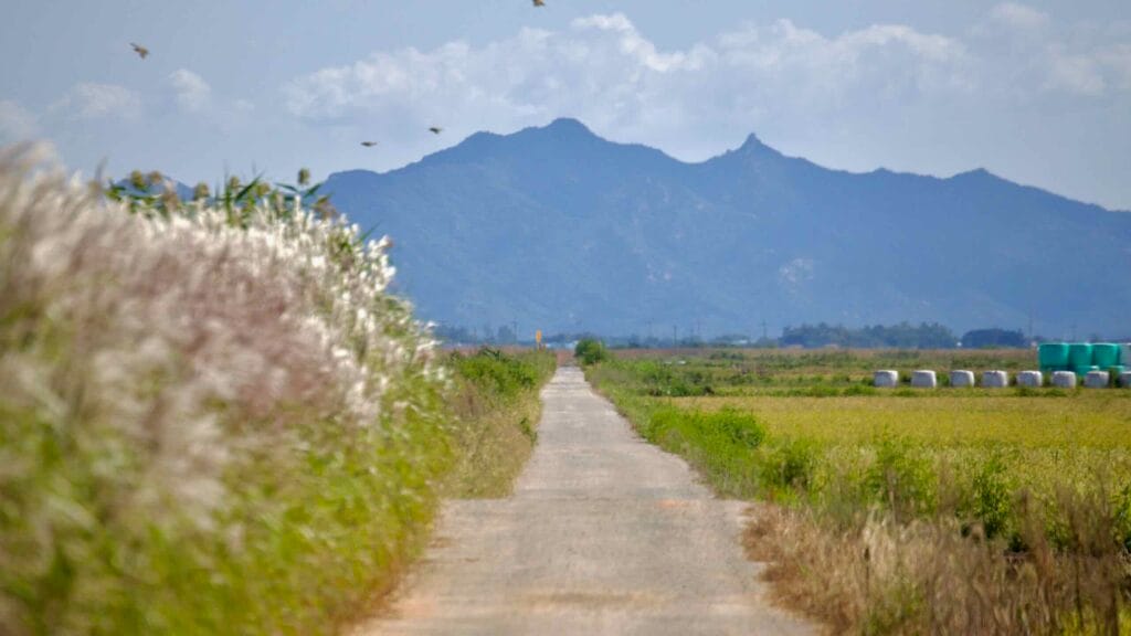 A rural cycling path stretches into the distance in Muan County.