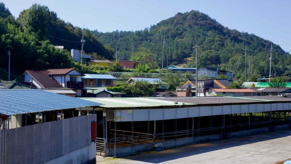 A rural village nestles at a mountain’s base beside a livestock farm.