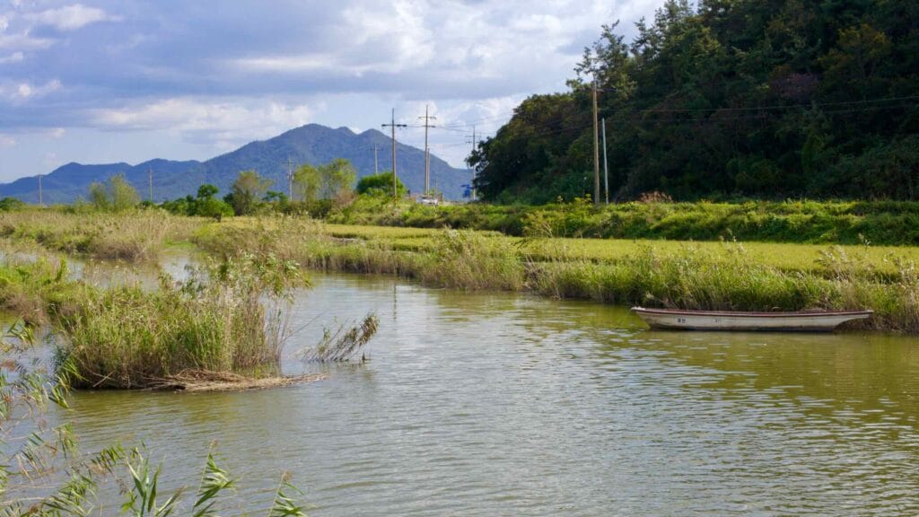 wetlands