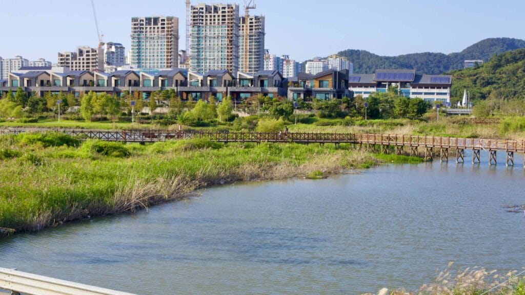 riverbank