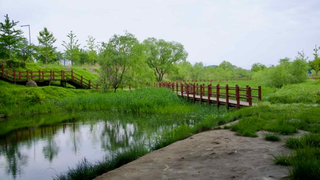 wetland habitat