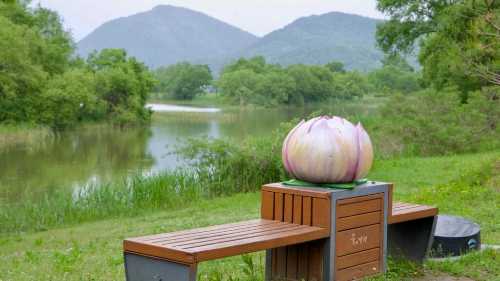 A bench adorned with a lotus flower sculpture offers a tranquil riverside rest spot in Namyangju Water Garden, surrounded by wetlands and forested hills.