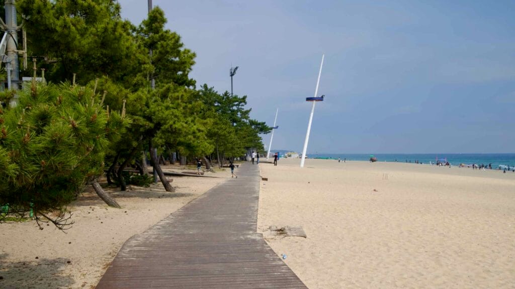 Wooden boardwalk winds along Gyeongpodae Beach, between pine trees and sand.
