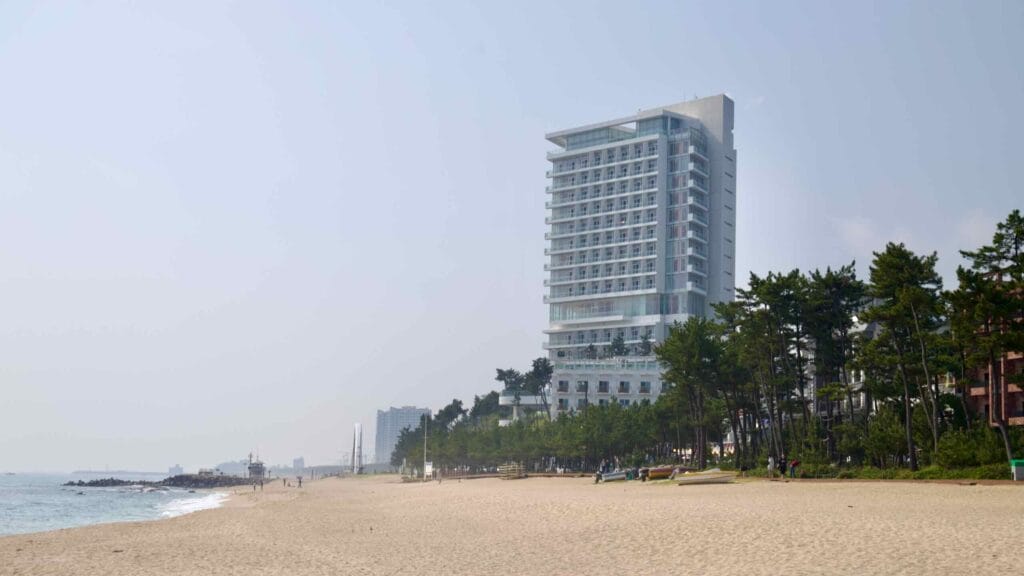 High-rise Seamarq Hotel at the edge of Gyeongpodae Beach, bordered by pine trees and soft sand.