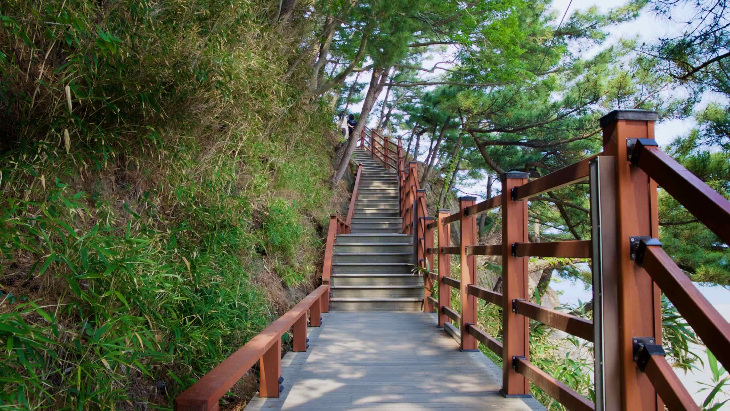 Deokbong