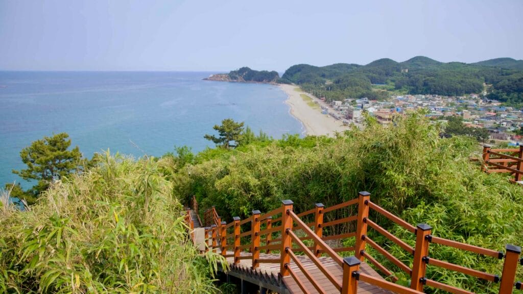 coastline