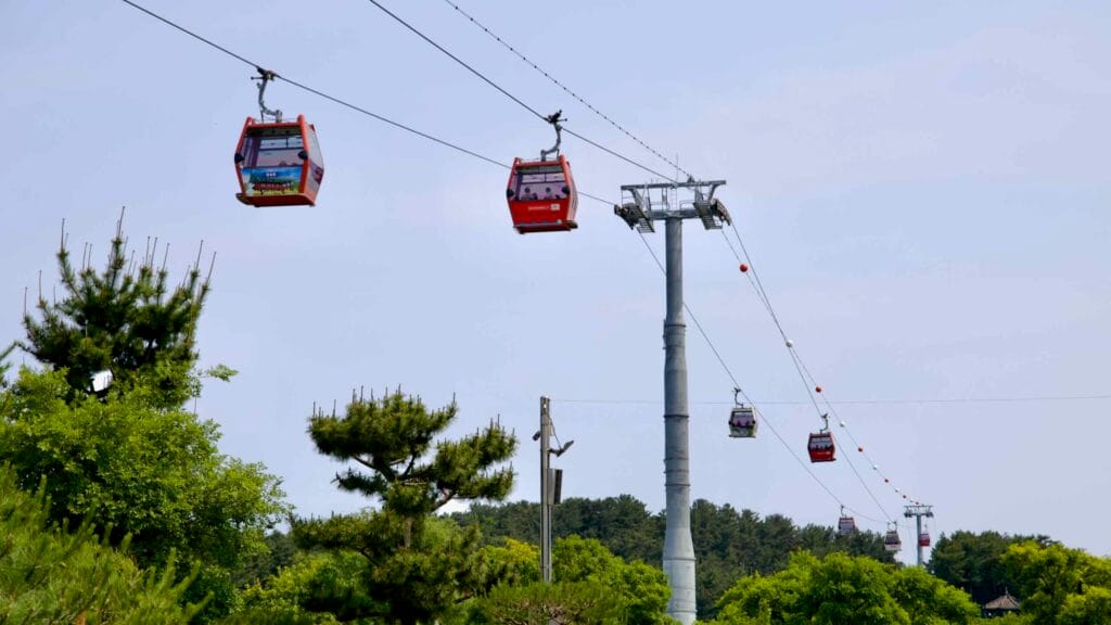 Red gondolas travel along the Wangpi Stream Cable Car line above manicured pine trees and lush forest, offering riders scenic views near the Uljin Aquarium and Nature Park.