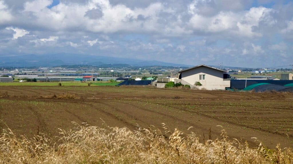Tilled fields and farmhouse below Suwolbong on Jeju’s western plain.
