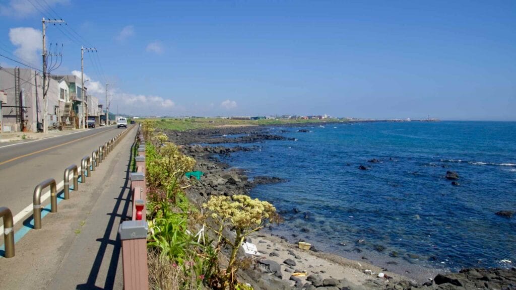 Coastal road and guardrail above clear water on the approach to Sindo Port.