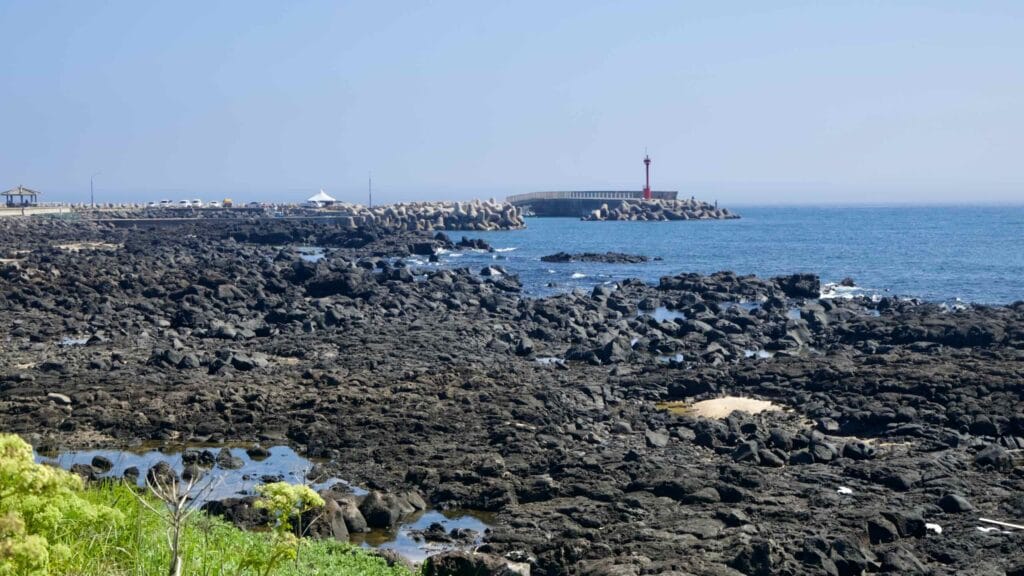 Coastal plant above basalt ledges facing the red‑topped lighthouse at Sindo Port.