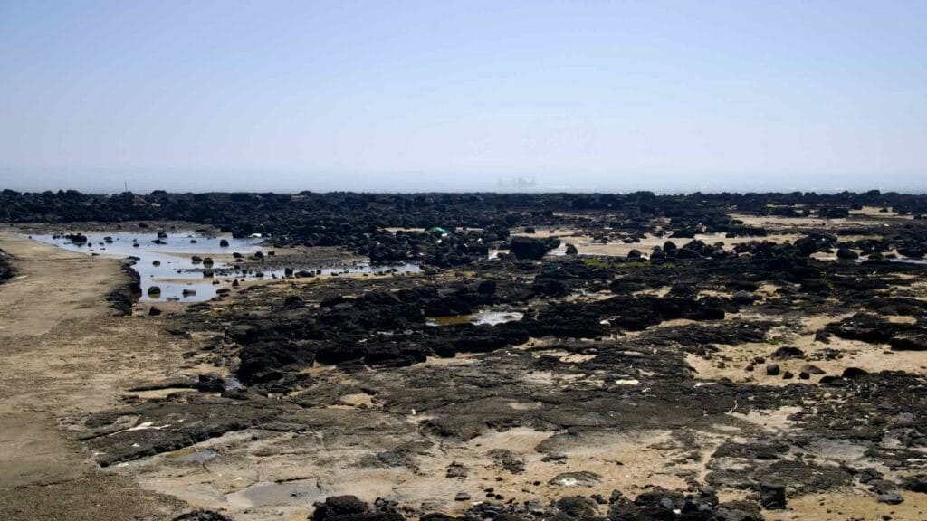 Dogurial tidal flats of dark lava and sand exposed at low tide.