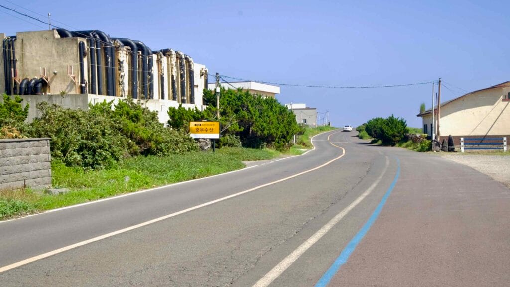 Coastal road and blue bike line passing abalone growhouses on Jeju’s west coast.