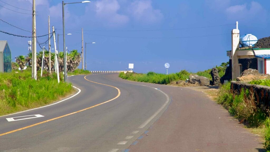 Curving Yeongnak Coastal Road with palms, poles, and a faint blue cycle line.