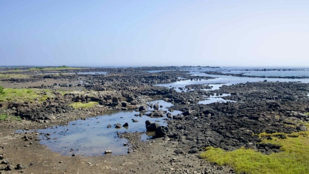 Basalt flats and tide pools along Yeongnak’s coast at low tide on Jeju.
