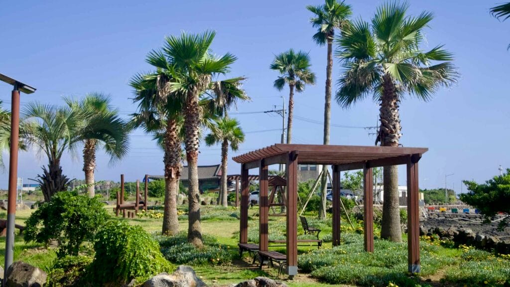Palm grove with pergola benches above the harbor near Dongil‑ri Port, Jeju.