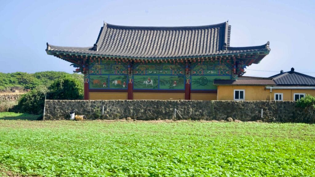 Painted Chilsangsa temple hall behind a lava wall beside fields near Dongil‑ri.