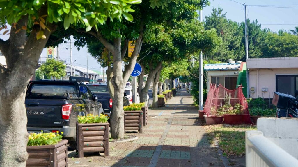 Tree-shaded sidewalk with planters and a bike sign.