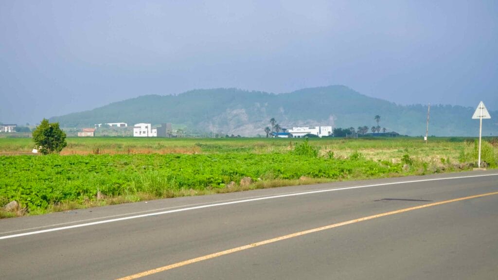 A rural highway skirts green fields near Daejeong‑eup on Jeju.