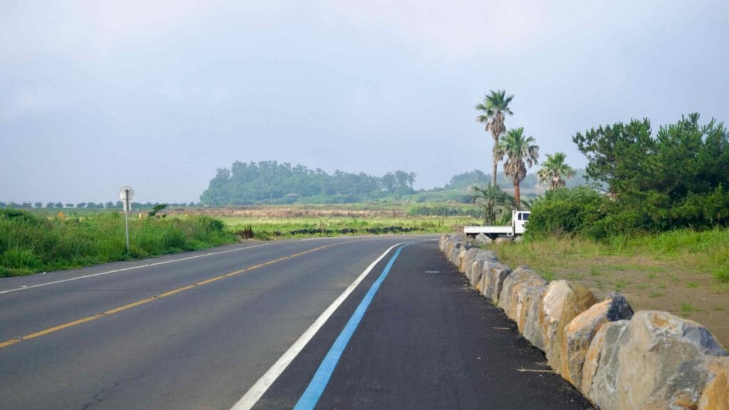 A blue‑striped bike lane follows the shoulder beside stone barriers and palm trees.