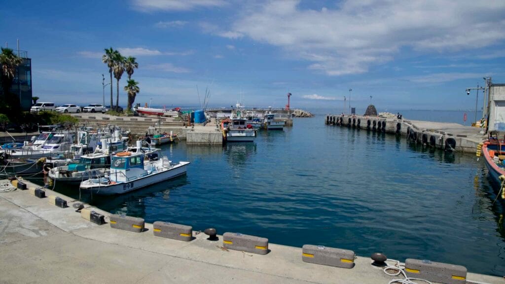 Fishing boats moored inside Jeju’s Yongdam Port.
