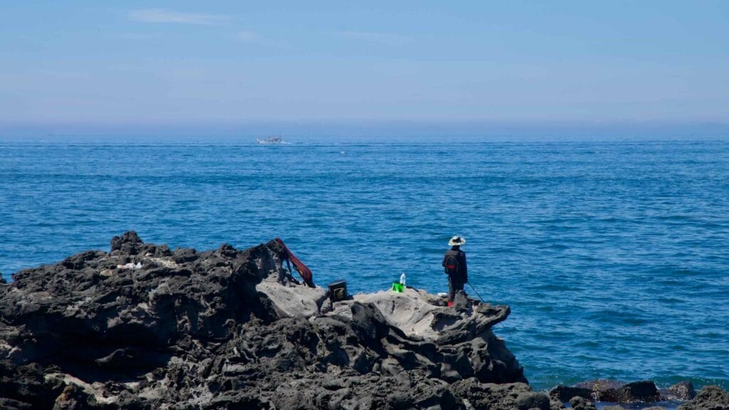 Lone angler fishing from jagged basalt rocks on Jeju’s coast.