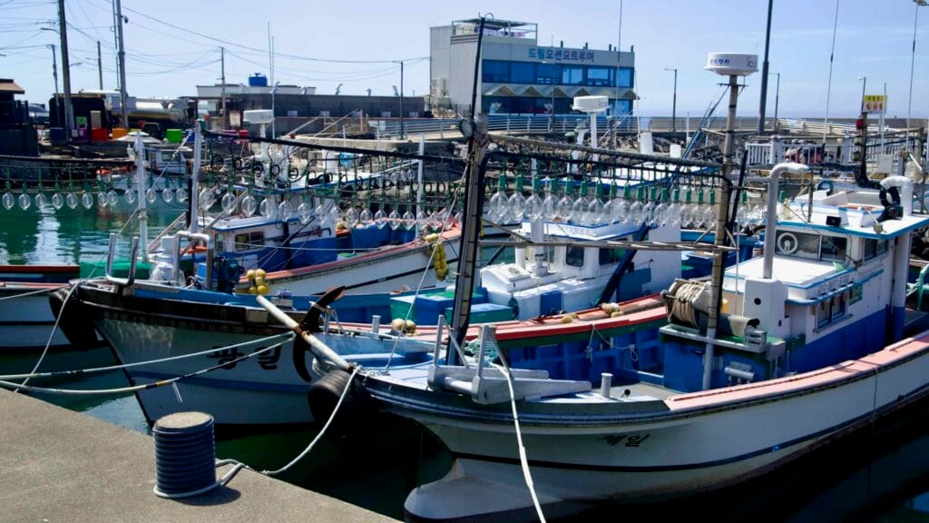 Squid jigging boats moored inside Sasu Port’s calm basin.