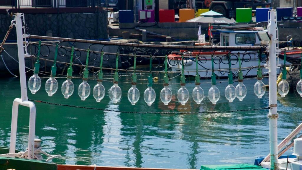 Close view of glass squid jigging bulbs over a fishing boat.