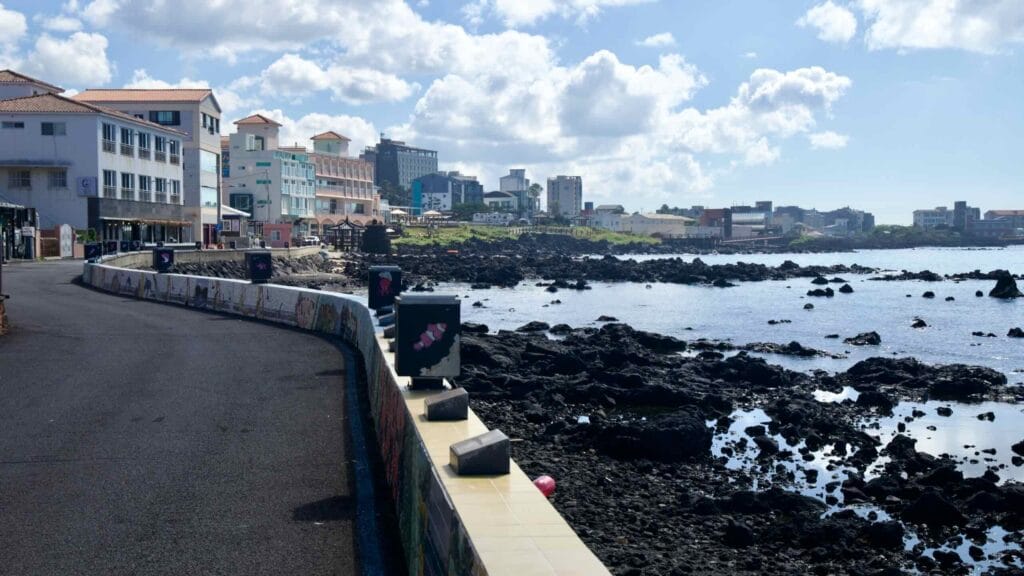 Curving seawall and lava shoreline with seafront hotels.