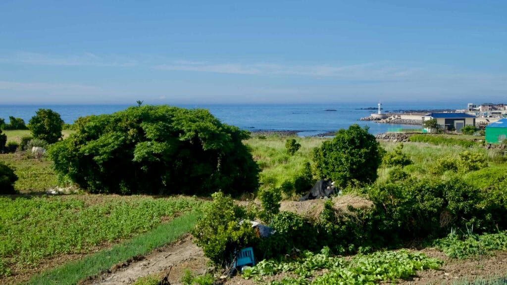 Coastal farms sloping toward a harbor lighthouse.