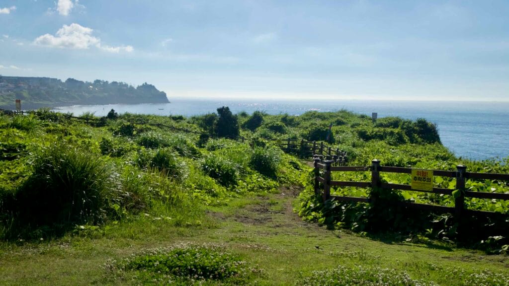 Grassy bluff and safety fence above the sea near the Handam coastal walk.