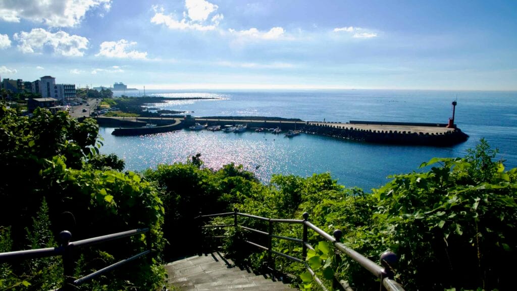 Looking down flighted stairs through coastal vegetation toward a small harbor.