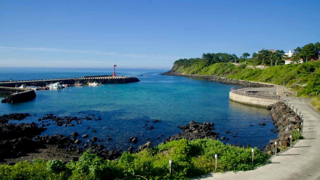 Close view of rugged basalt lava rock along Jeju’s north coast, with weathered textures.