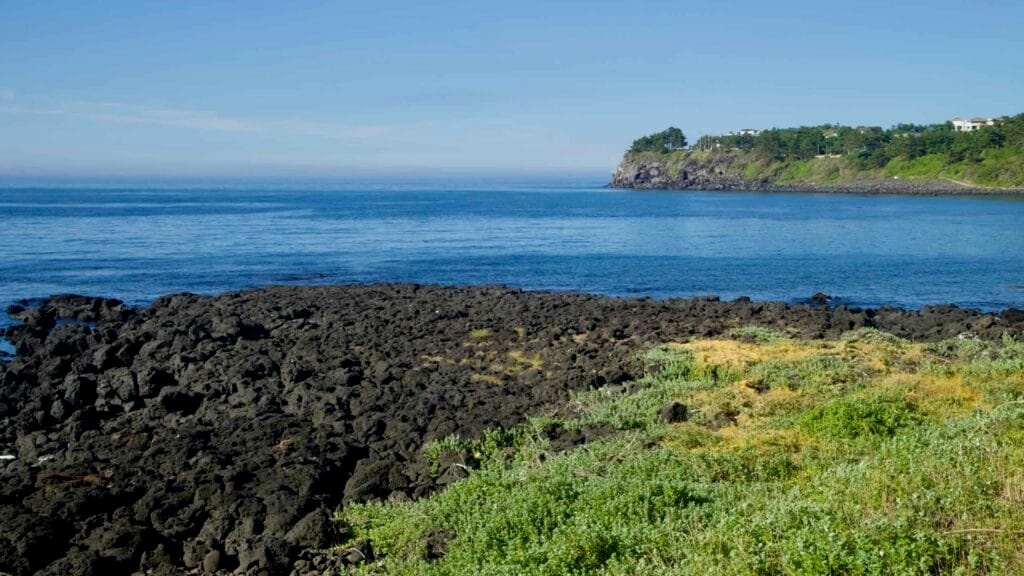 A seaside picnic table and stools sit beside black lava rocks on a grassy clearing.