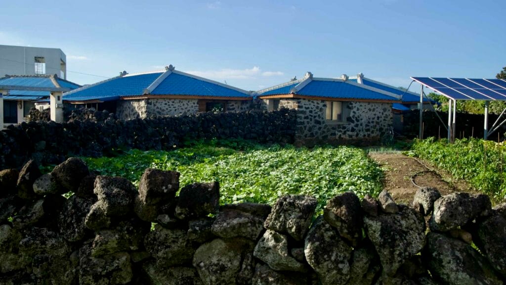 Traditional Jeju stone houses with blue tile roofs sit behind dry‑stone walls.
