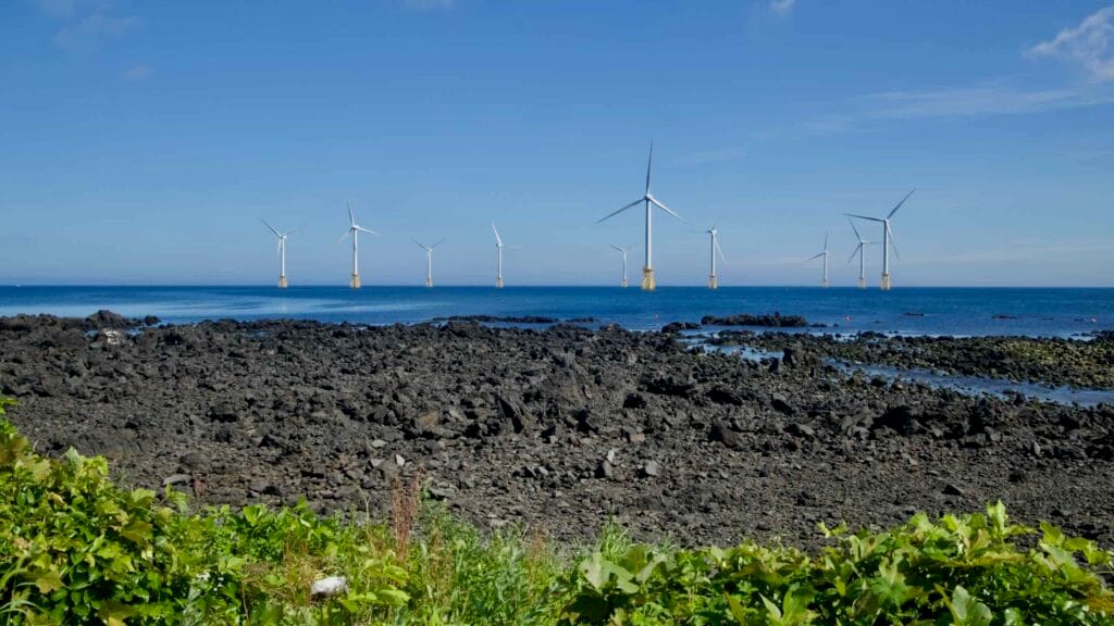 A wide view of Jeju’s offshore wind farm lines the horizon beyond an extensive basalt field.