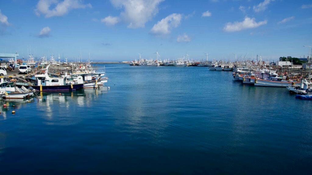 Fishing fleet at Hanlim Port with offshore windmills beyond.