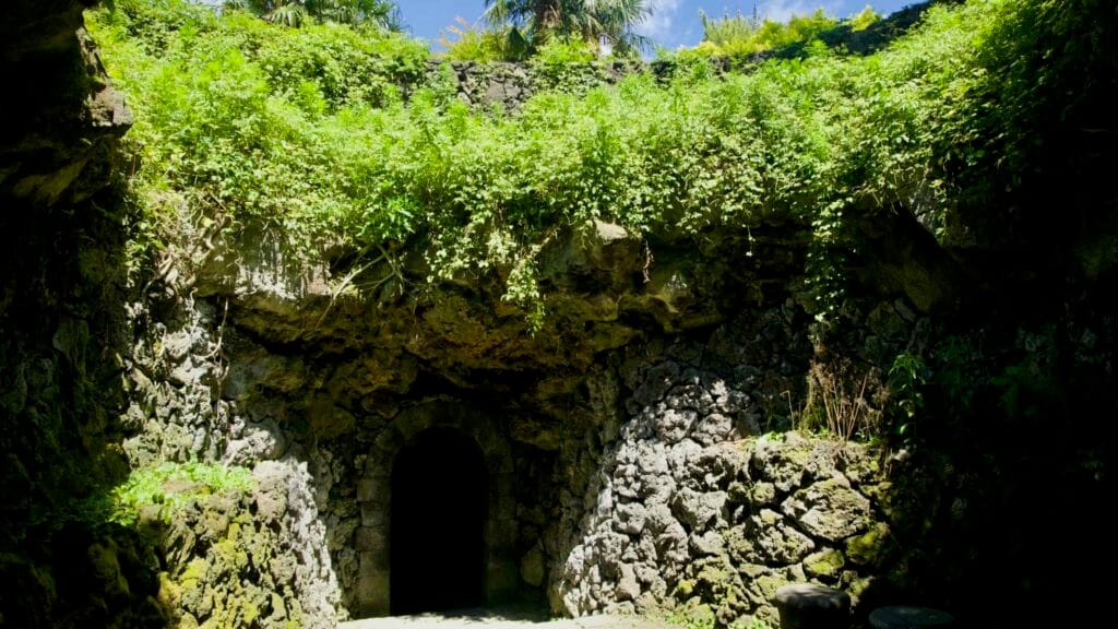 Leafy skylight above an arched lava cave entrance at Hallim Park.