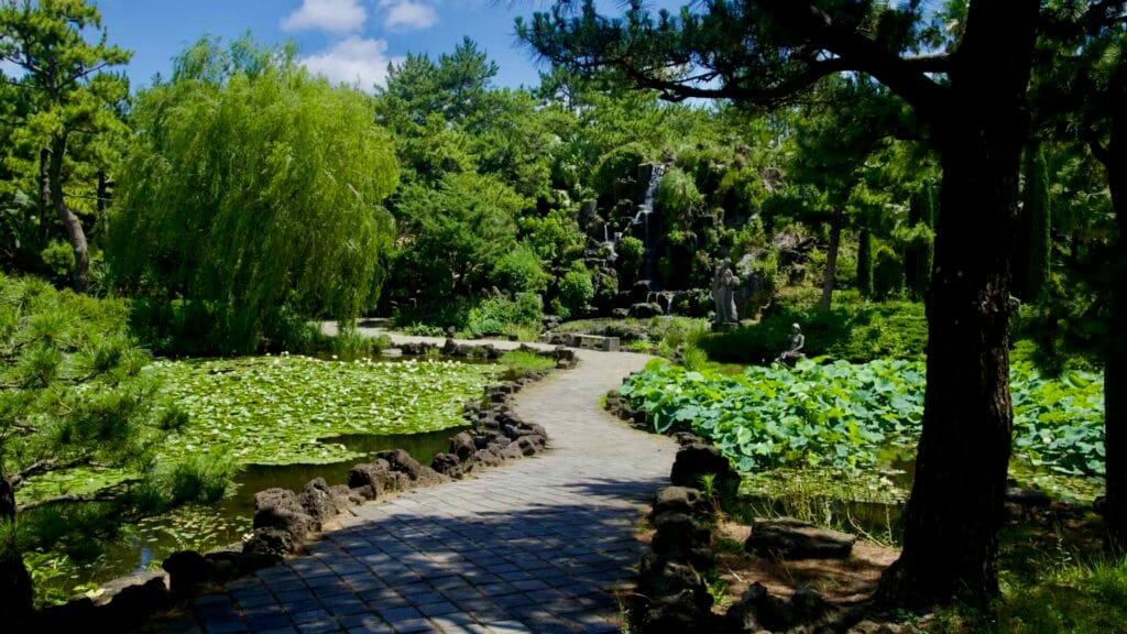 Curving path between lotus ponds toward a garden waterfall.