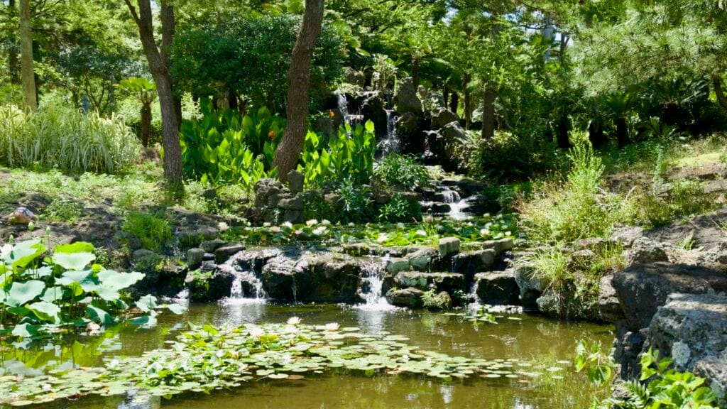 Lily pond with multi-tier garden waterfall at Hallim Park.