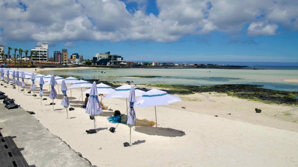 Row of parasols along the sands at Hyeopjae Beach, Jeju.