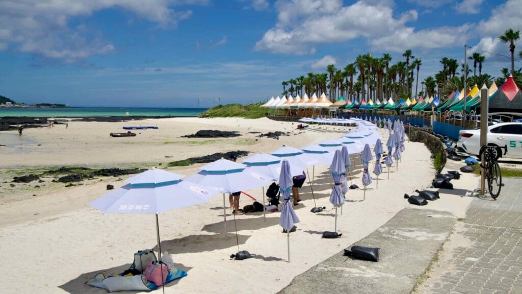 Rental umbrellas curve across the sand at Geumneung Beach.