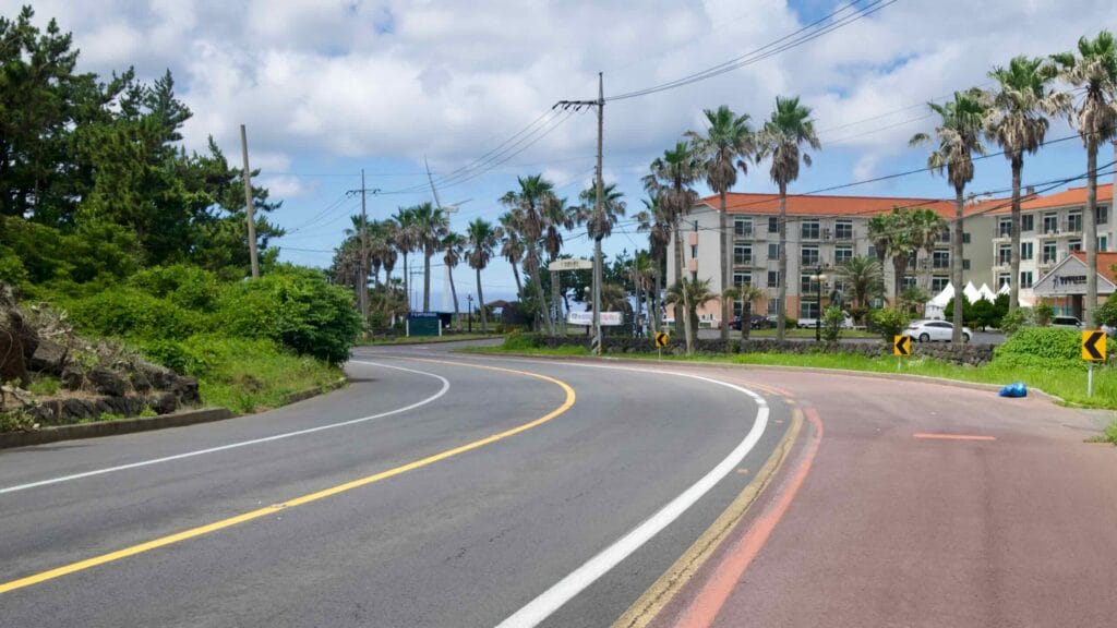 Palm‑lined curve and bike lane near Geumneung Port.