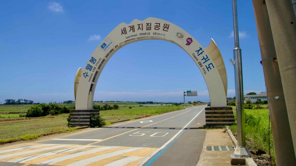 Coastal road and blue bike lane skirting fields and pines near Gosan.