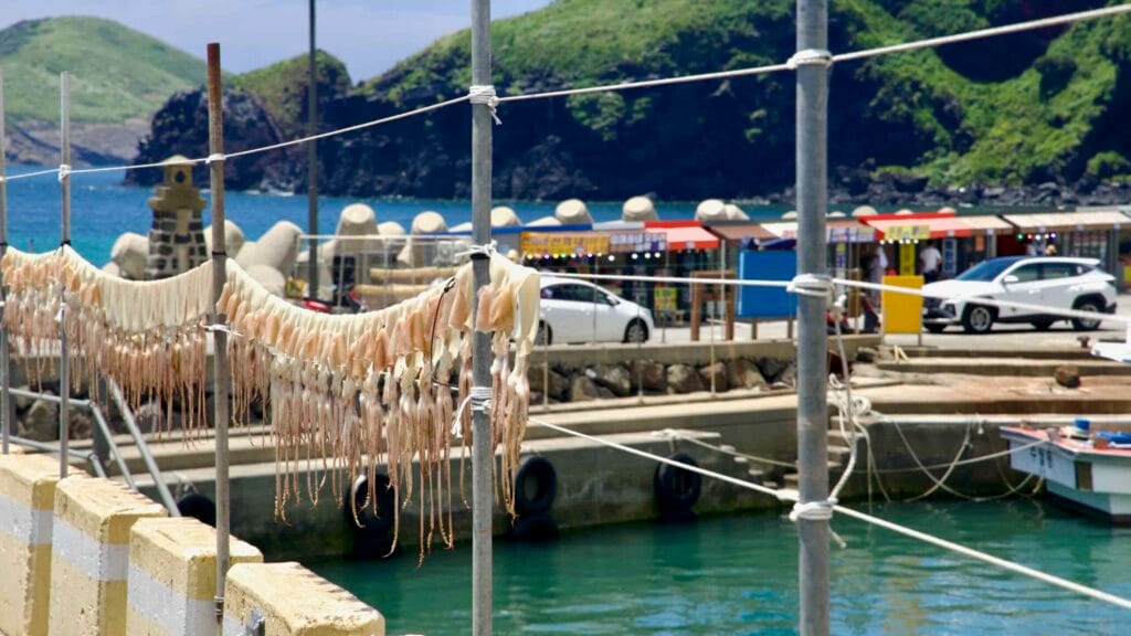 Rows of squid drying beside the quay at Chagwido Port.