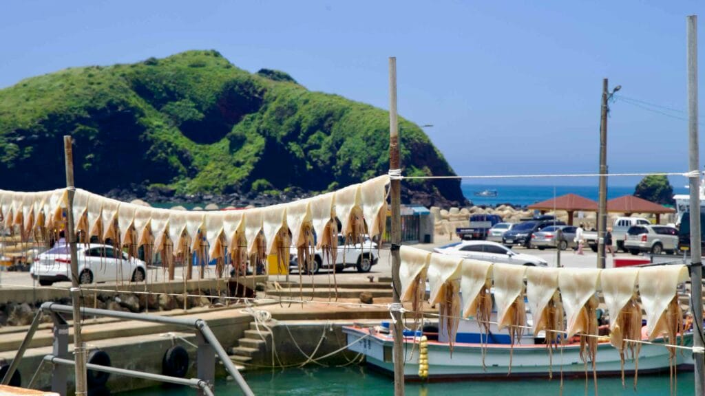 Squid drying on ropes with green islets beyond at Chagwido Port.