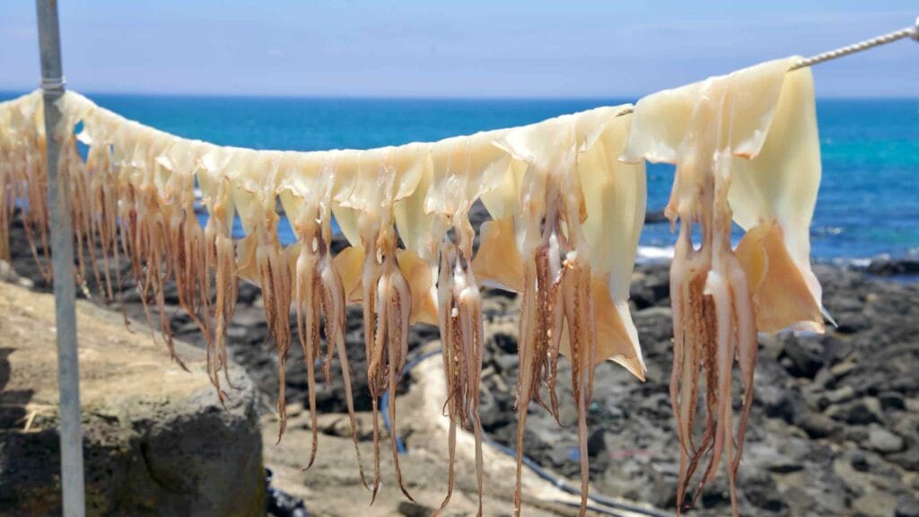 Fresh squid drying on ropes beside the rocky shore near Chagwido.