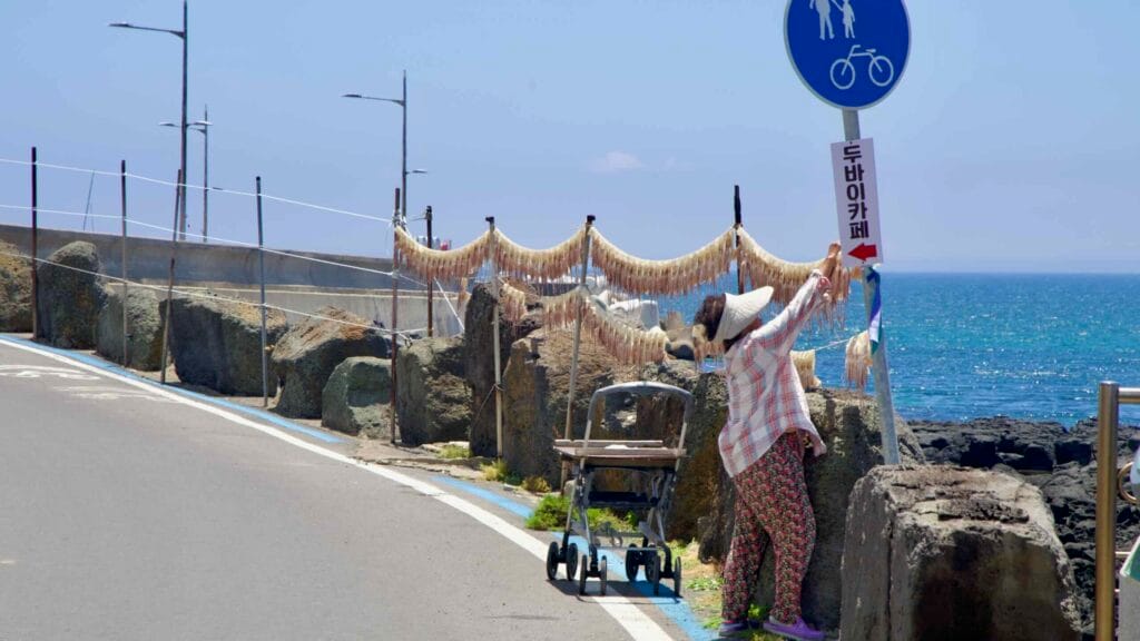 Local adjusts a sign beside lines of drying squid on the coastal bike route.