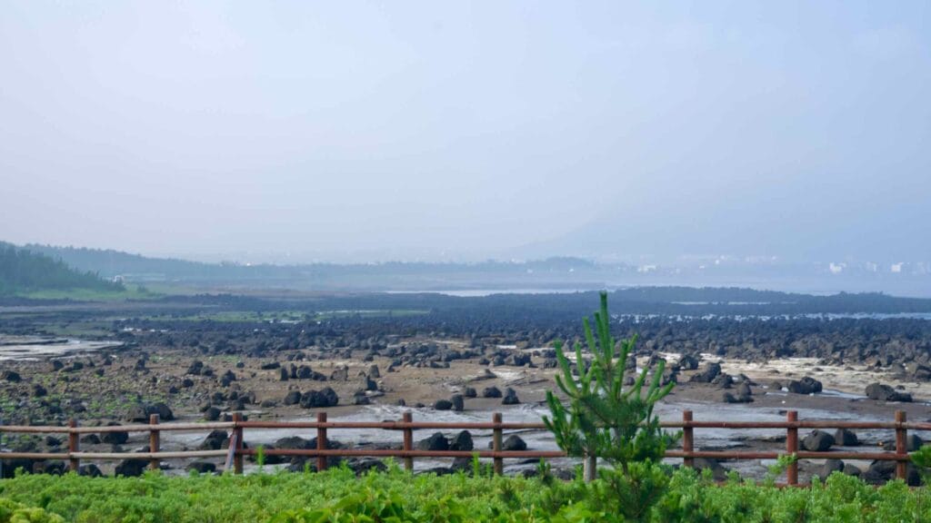 Low tide exposes basalt flats and channels along the Sagye coastline.
