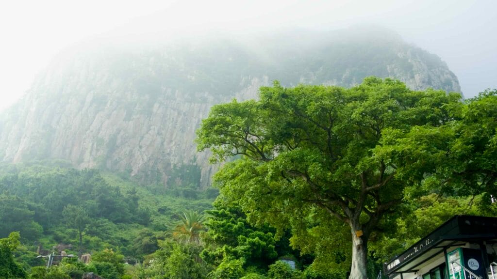 Morning mist drapes Sanbang Mountain above Bomunsa Temple’s entrance.
