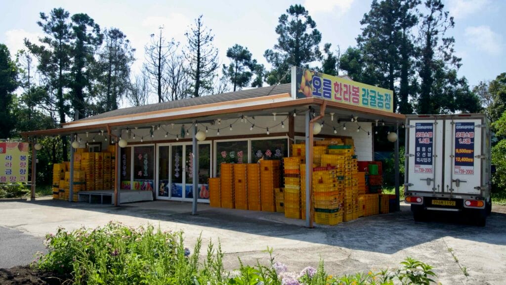 A roadside citrus shop displays stacks of orange crates and signage, with a delivery truck parked.